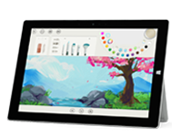 张家界Surface 无法开启、Windows 无法启动或电池无法充电